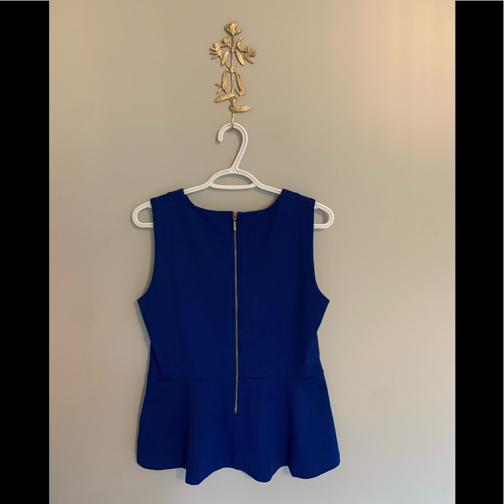 Electric Blue With Gold Zipper